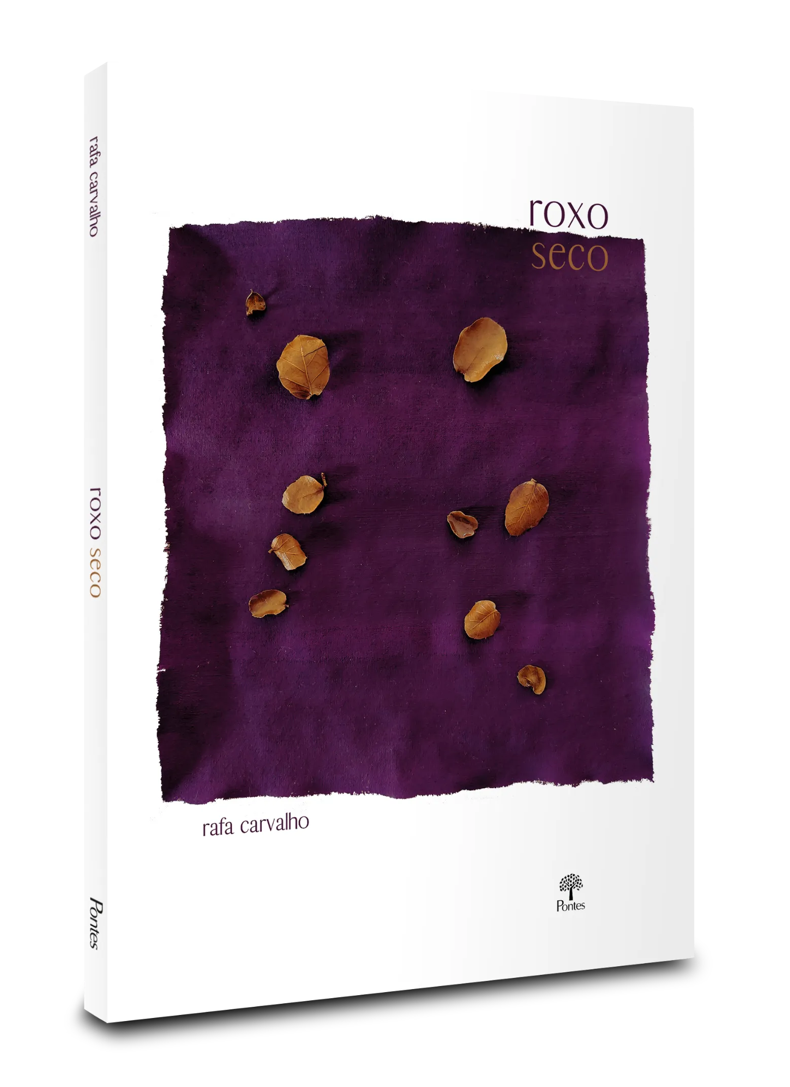 1- roxo seco (contos, Pontes Editores e Editora Encruza)